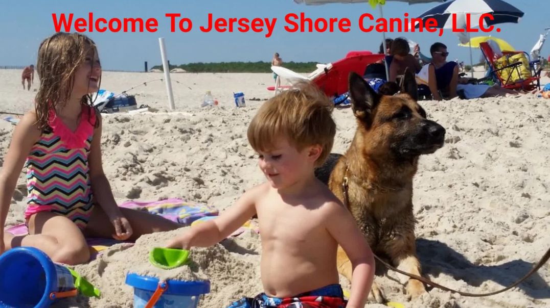 Jersey Shore Canine, LLC. - Dog Protection Training in Jersey Shore, NJ